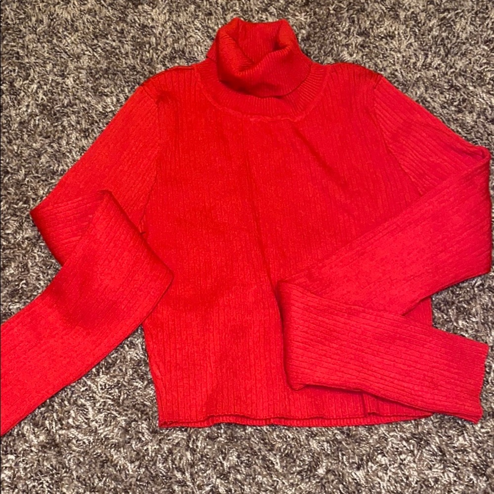 Lauras Boutique Red LongSleeve Turtleneck Crop-Top